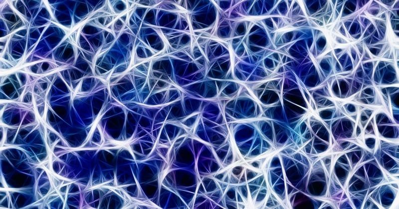 La myéline, ce secret qui booste votre cerveau