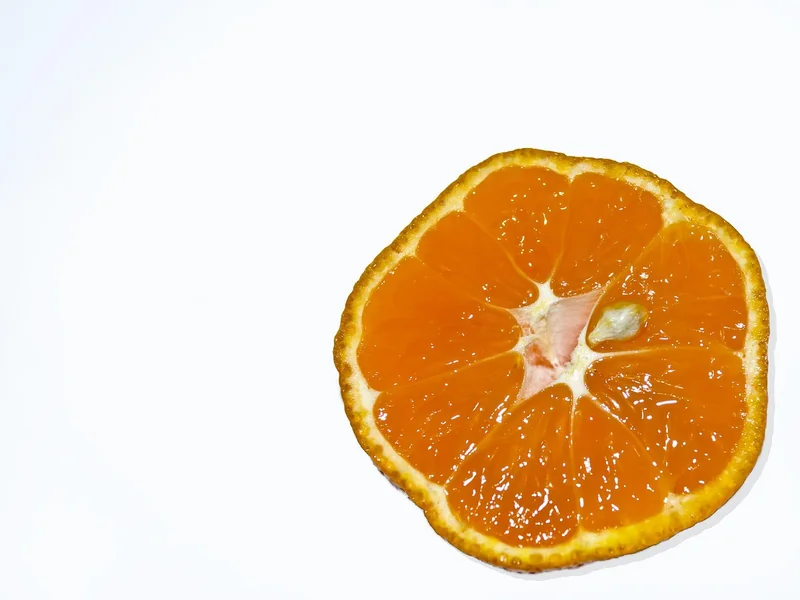 Goût et utilisation en cuisine : lequel choisir ?